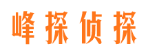 铁锋峰探私家侦探公司